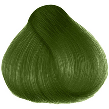 Cargar imagen en el visor de la galería, H.A JORGE MOSS